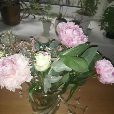 Jaukus Butas Vilniuje *